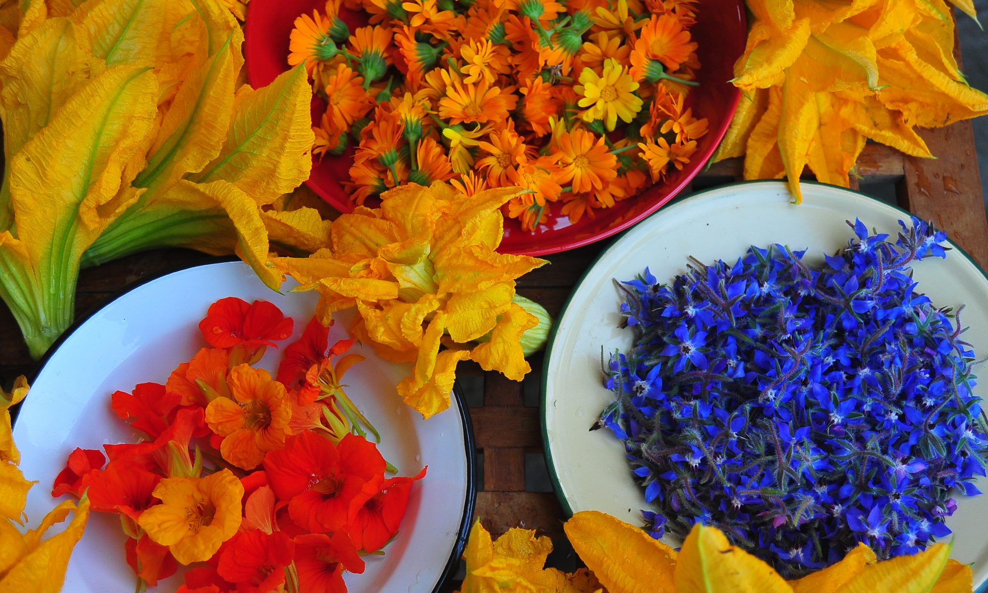 edible flowers collected daily